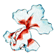goldeen.gif (2063 bytes)