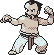 gym5-leader.gif (1442 bytes)